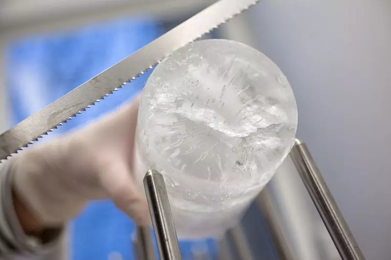 An AWI scientist is preparing an Arctic sea-ice core for a microplastic analysis in a lab at the AWI Helgoland. Credit: Alfred-Wegener-Institut/Tristan Vankann